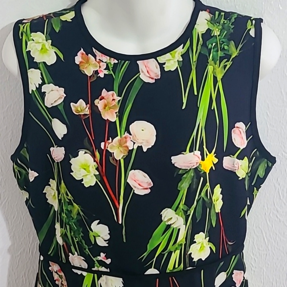 Victoria Beckham Floral Spring Sleeveless Mini-Dress, Size Medium - Picture 3 of 9
